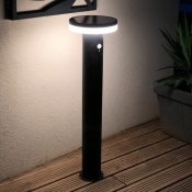 Borne LED Solaire avec Détecteur de Mouvement 80cm 