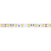 Ruban LED 24V  DC SMD5050 60led/m 5m IP20